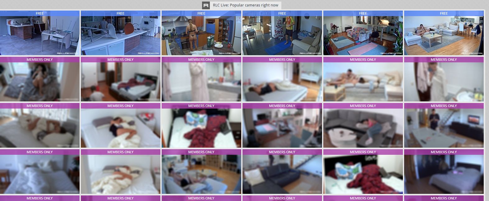 RealLifeCam RealLifeCam