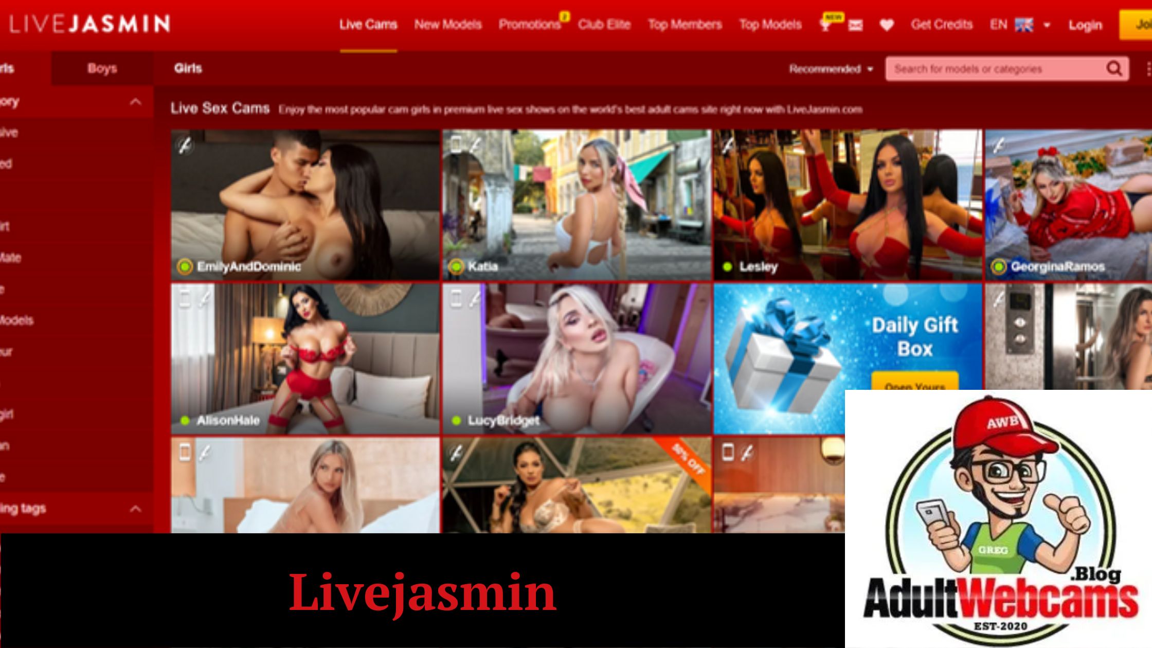 Cam Roulette Chat Site Cam Roulette Chat Site