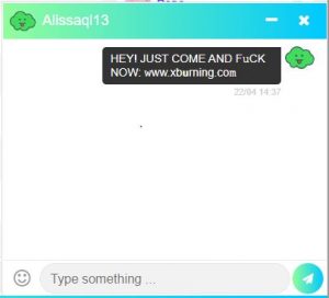 Chat Avenue Features